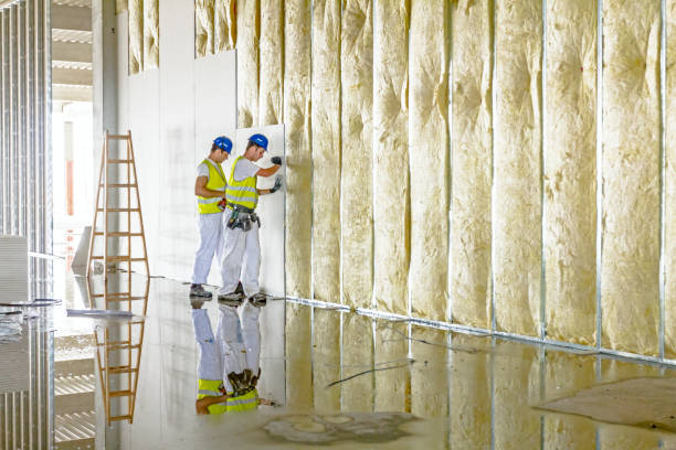 Best Insulation Maintenance and Repair in Yellow Springs, OH